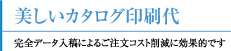 美しいカタログ印刷印刷代