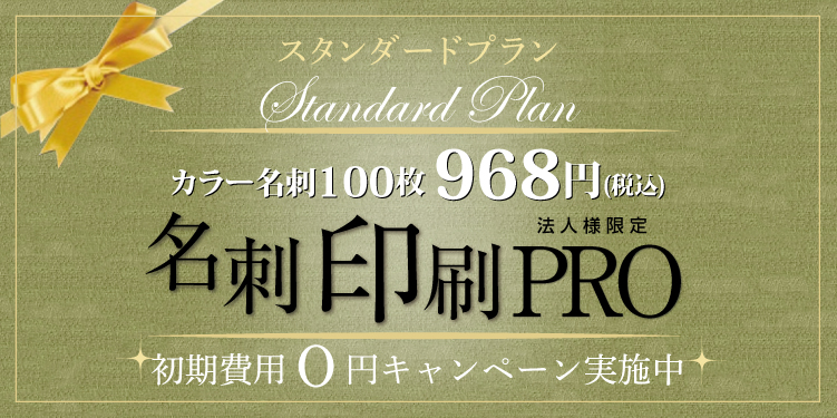 スタンダードプラン　カラー名刺100枚880円（税別）